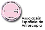 Icono-Artroscopia